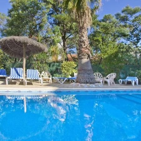 Studio/F1Bis A 50 M De La Plage Argelès-sur-Mer Zewnętrze zdjęcie