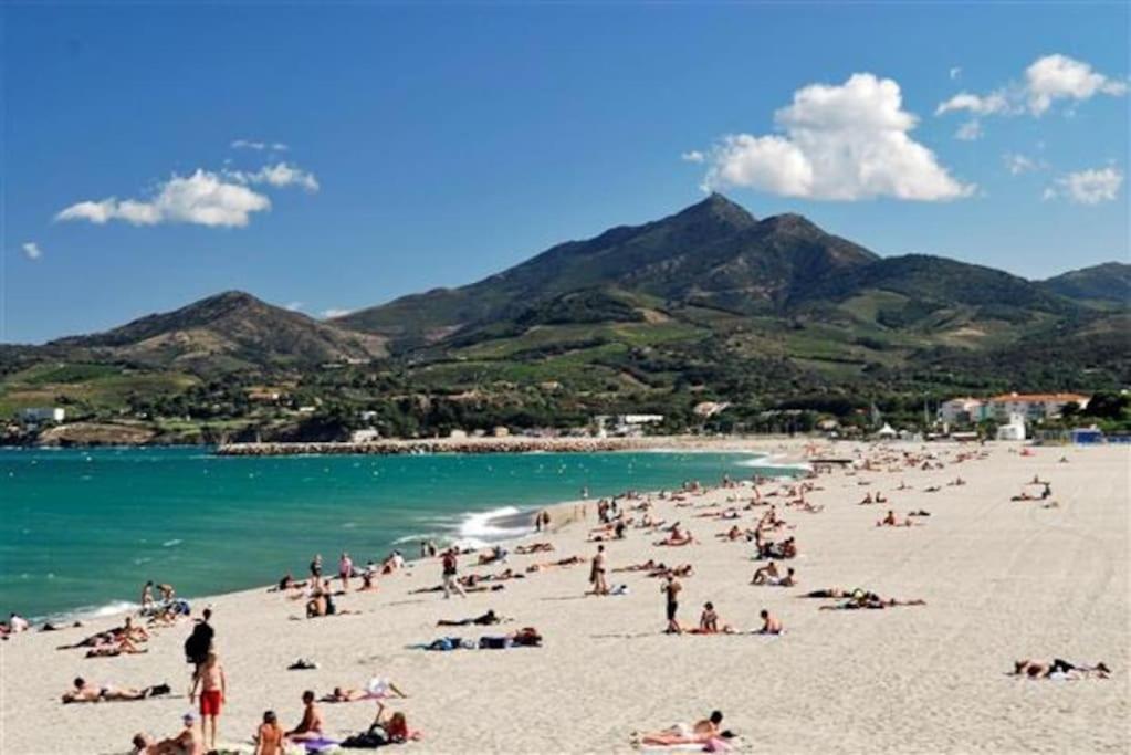 Studio/F1Bis A 50 M De La Plage Argelès-sur-Mer Zewnętrze zdjęcie