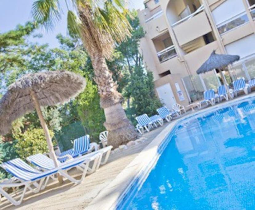 Studio/F1Bis A 50 M De La Plage Argelès-sur-Mer Zewnętrze zdjęcie