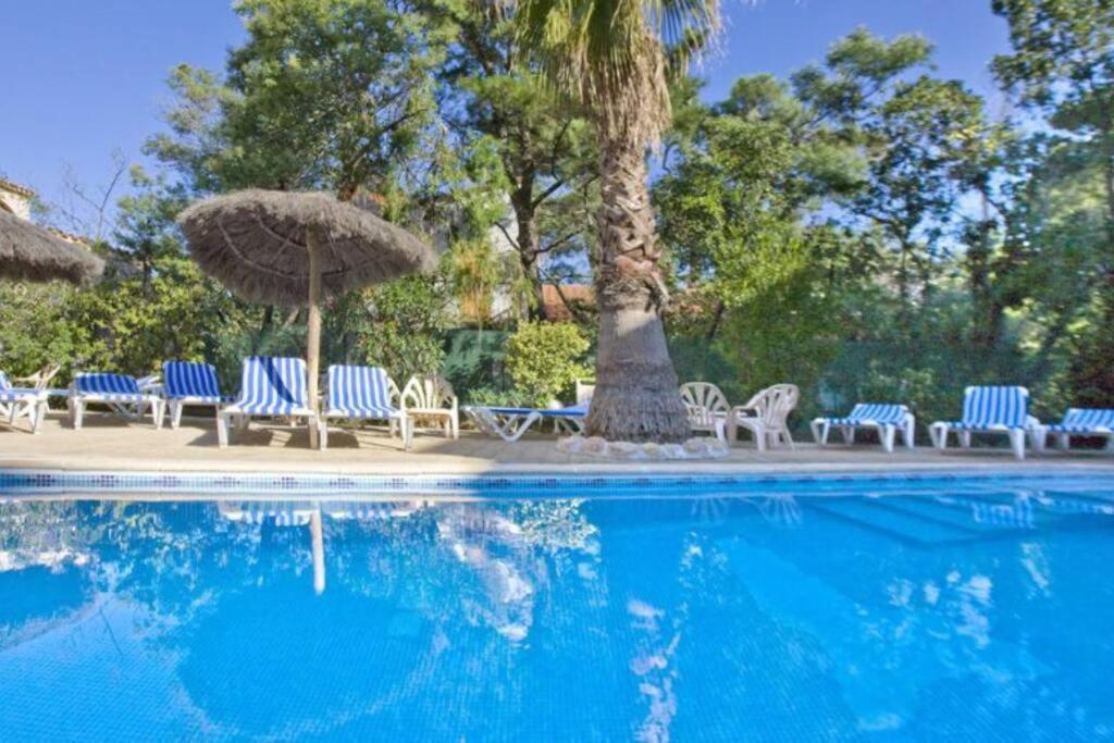 Studio/F1Bis A 50 M De La Plage Argelès-sur-Mer Zewnętrze zdjęcie
